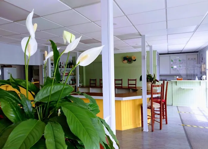 Hôtel accueillant les animaux: Fasthotel Perpignan